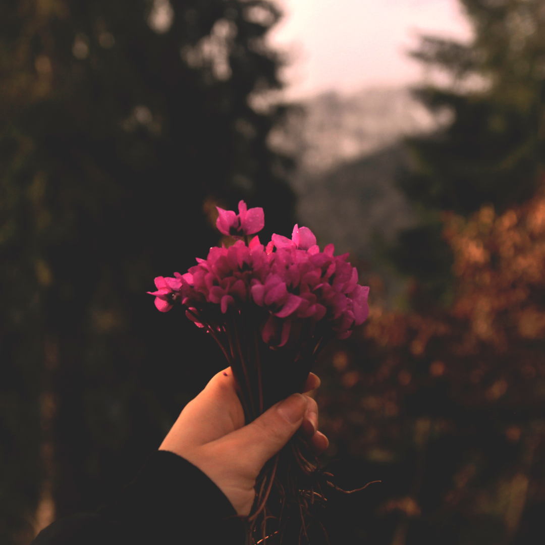 To be desired, or to be loved,