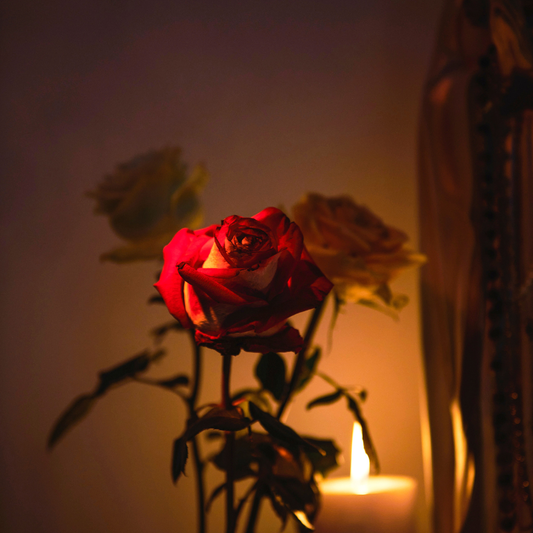 You are more than an echo